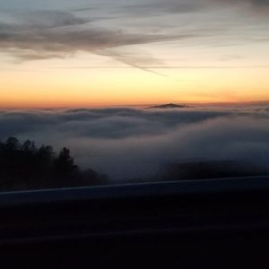 Meet your Posher, Peter